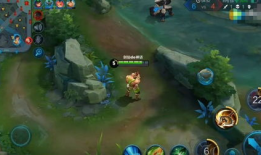 王讯动态表情包,趣味横生的表情盛宴