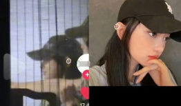 被扒过的网红,扒一扒那些被曝光的幕后真相