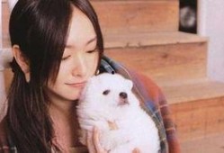 新垣结衣生活照,揭秘女神日常生活中的真实魅力