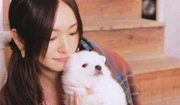 新垣结衣生活照,揭秘女神日常生活中的真实魅力