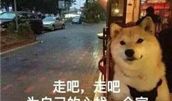 情人节单身狗图片,一个人的浪漫