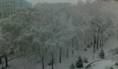 李诗个人资料,才华横溢的诗人，人生轨迹与创作历程