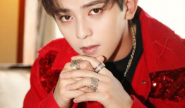 娱乐圈已婚小鲜肉,颜值与责任并存的青春力量