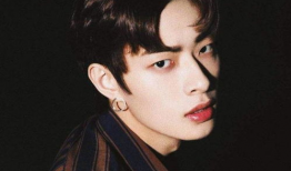 橘子娱乐木子洋,橘子娱乐下的璀璨星辉