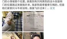 网红怀孕过程,甜蜜孕育之旅