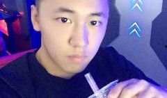 z 个人资料,梦想与现实的交织