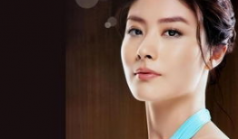 陈慧琳母亲个人资料,优雅与智慧的完美结合