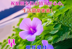 愿顺利图片