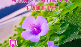 愿顺利图片
