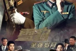 雪豹坚强岁月背景插曲,插曲中的热血旋律，唤醒青春记忆