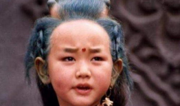 小龙人的演员表,重温经典，揭秘幕后演员阵容