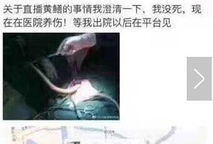 谁有黄鳝女主播琪琪,网络红人的崛起与争议