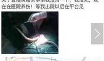 谁有黄鳝女主播琪琪,网络红人的崛起与争议