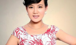 央视女主播徐君写真,优雅与知性的完美融合