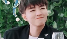 王俊凯的妈妈的照片,温婉贤淑，美丽与智慧并存