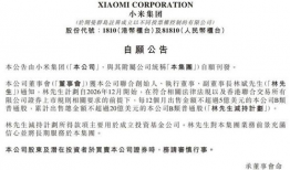 林斌生个人资料,从平凡走向卓越的创业传奇