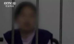 谁有黄鳝女主播琪琪,网络红人的崛起与争议