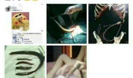 谁有黄鳝女主播琪琪,网络红人的崛起与争议
