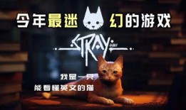 旅行奇遇搞笑,一场奇遇连连的搞笑冒险之旅