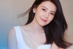 明星气质,揭秘明星独特气质魅力