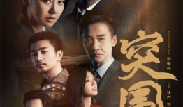 突围突围电视剧演员表