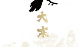 架鹰图片,架鹰瞬间捕捉自然之美