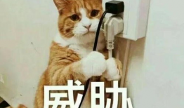 迷晕 表情包,网络时代的趣味与社交新宠
