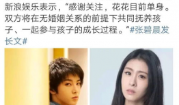 华晨宇小说娱乐圈,星光璀璨的娱乐圈传奇